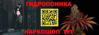 гашик Бердск
