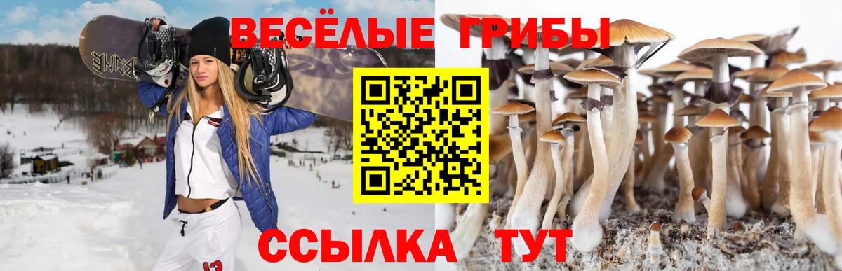 Галлюциногенные грибы мицелий Асино